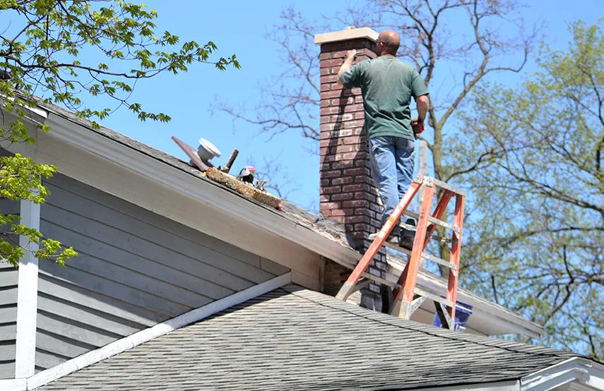 Chimney & Fireplace Inspections Services in Harrisonburg, VA